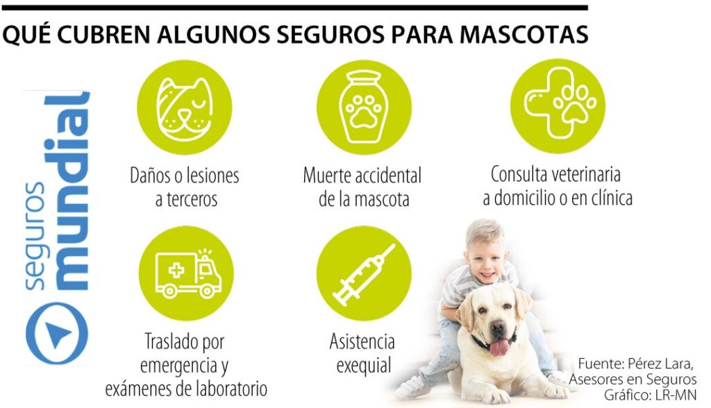 Consejos para reclamaciones de seguros de mascotas 1 Conozca cuáles son las coberturas que incluyen los seguros ...