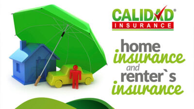 Cuál Es El Seguro De Renta?